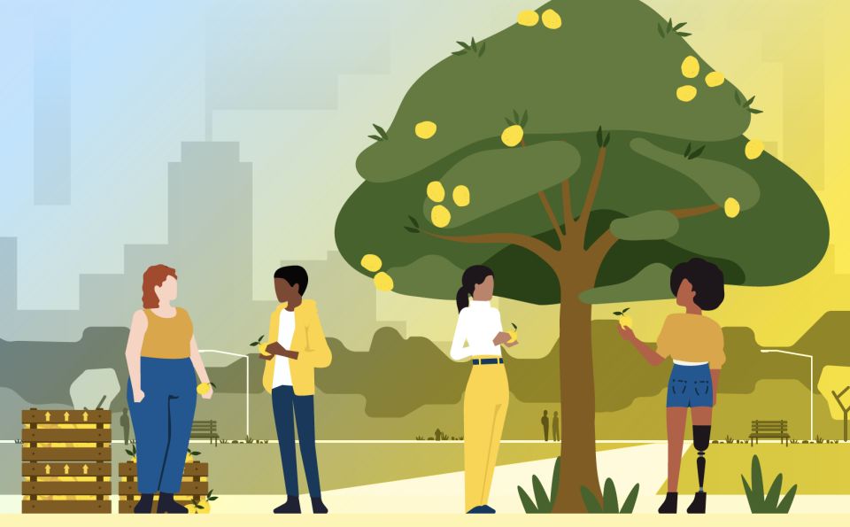 Adolescents picking lemons off a tree